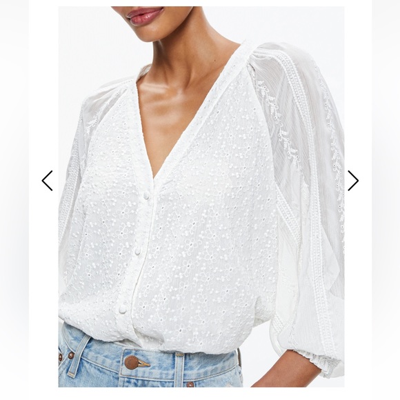Alice Olivia LANG EMBROIDERED BUTTON DOWN BLOUSE - Picture 5 of 9